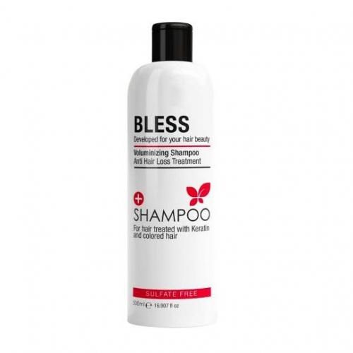 Bless Volumizing Shampoo For Dry Hair 500 ml